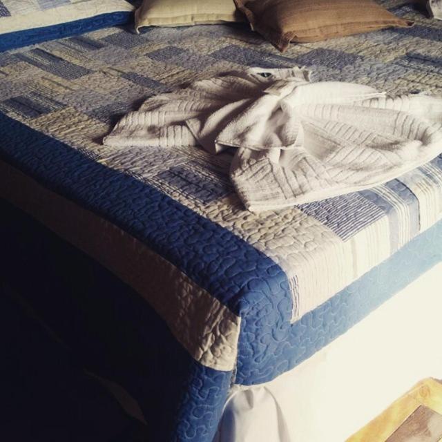 Varzea Palace Hotel Teresópolis Kültér fotó