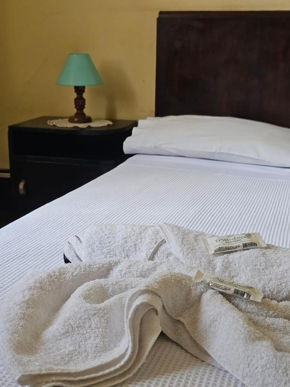 Varzea Palace Hotel Teresópolis Kültér fotó